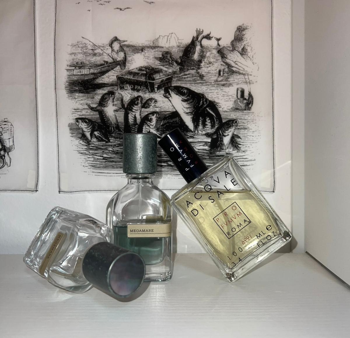 Acqua di Sale Profumum Roma parfum un parfum unisex
