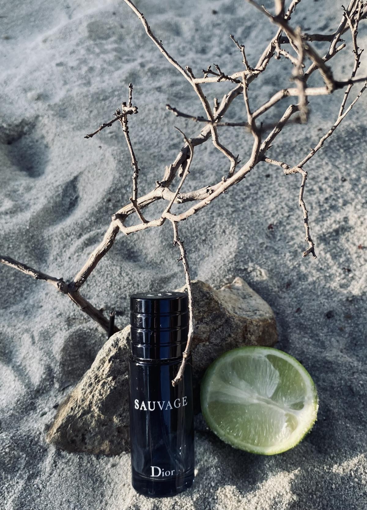 Sauvage Dior одеколон — аромат для мужчин 2015
