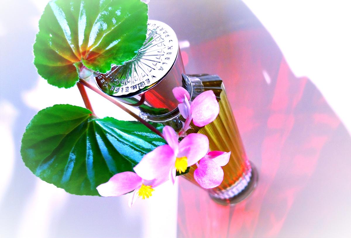 Ashoka Neela Vermeire Creations בושם הינו ניחוח 2013 לנשים וגברים