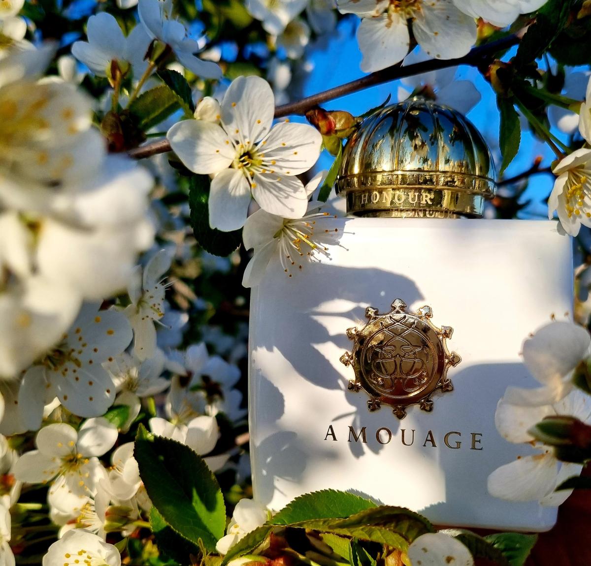 Honour Woman Amouage аромат — аромат для женщин 2011