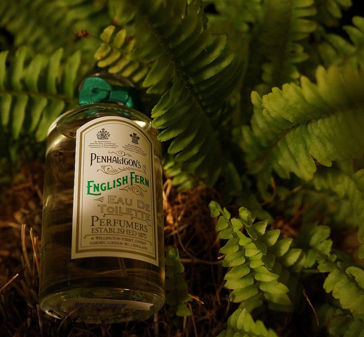 Шанель 5 зеленые. Немецкие духи женские. Парфюм папоротник. Фужерный парфюм. Фужерные ароматы духов.