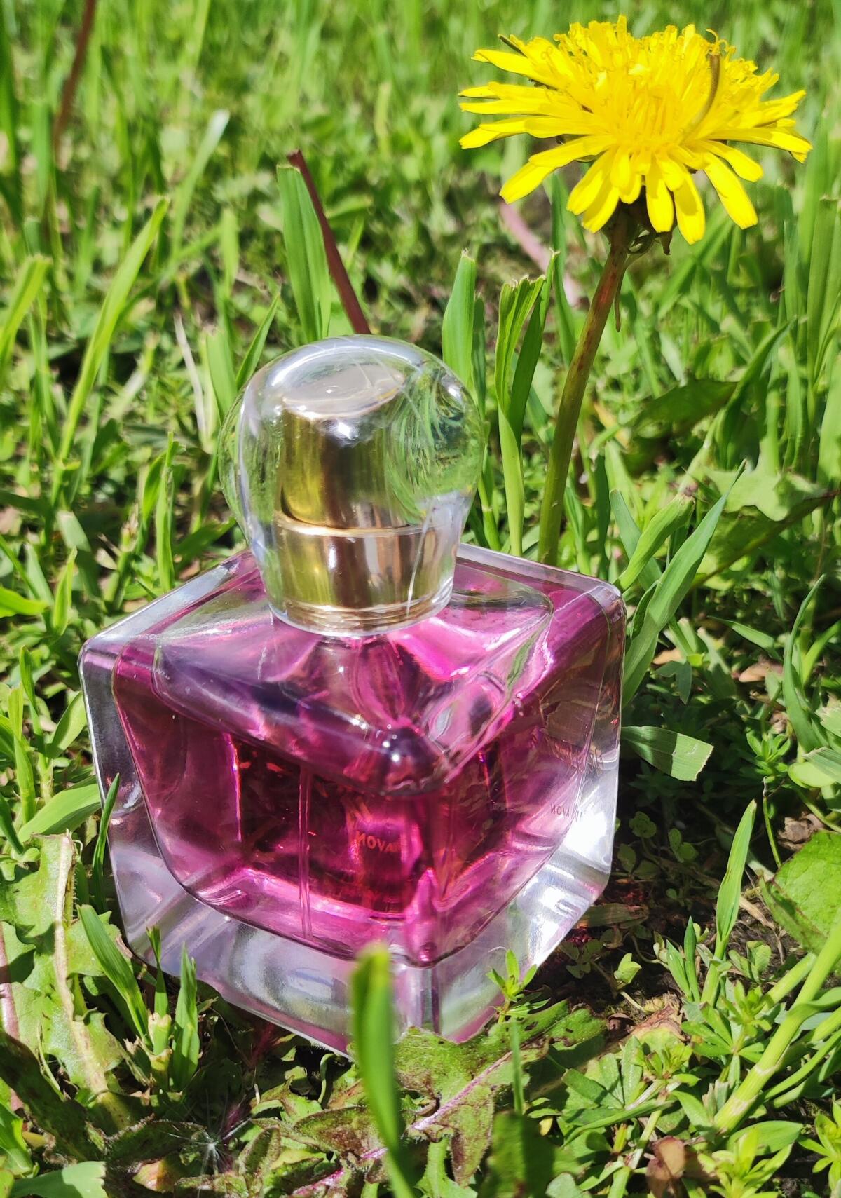 Today Tomorrow Always Everlasting Avon parfum - un nouveau parfum pour ...