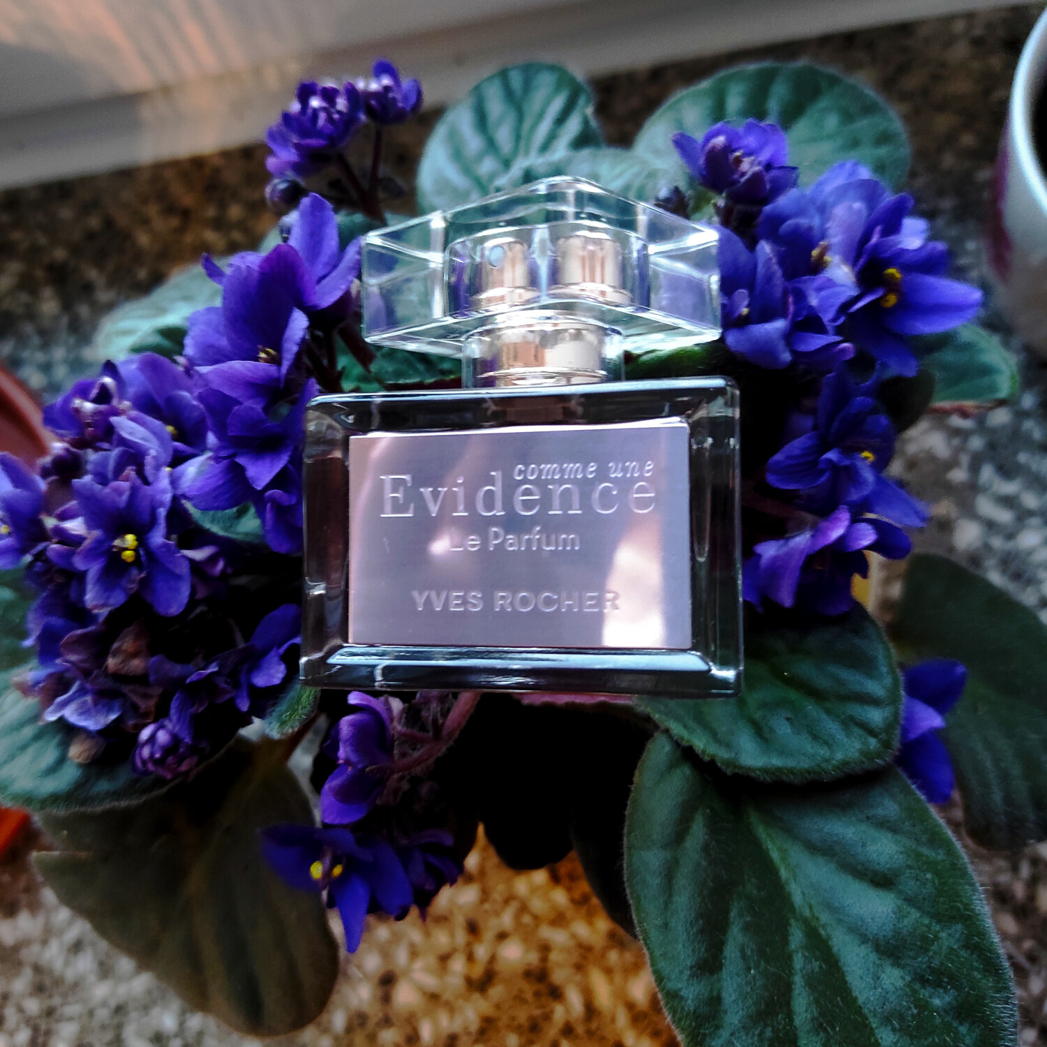 Parfum Yves Rocher Comme Une Evidence 50 Ml Spray Floral - Neuf France