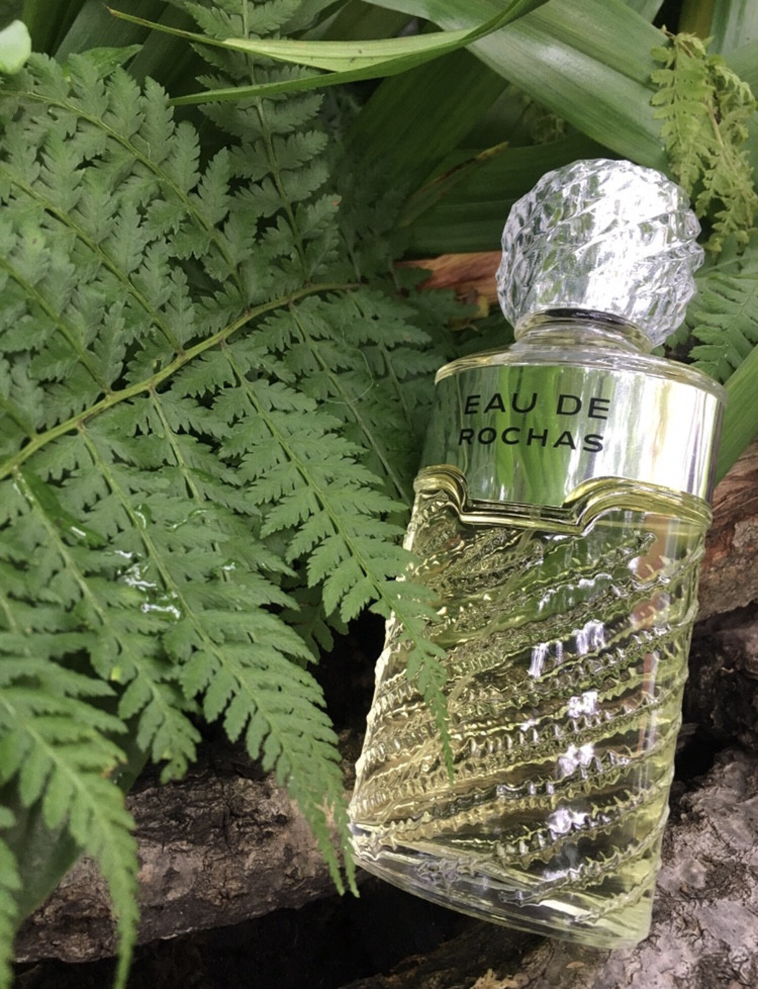 Eau De Toilette ROCHEVINTAGE Années 1970 - Flacon 220ml - Neuf - Notes Agrumes