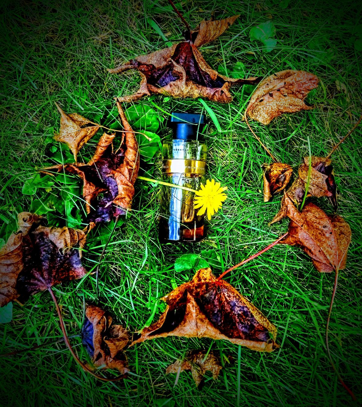 Field Notes From Paris Ineke fragancia una fragancia para Hombres y