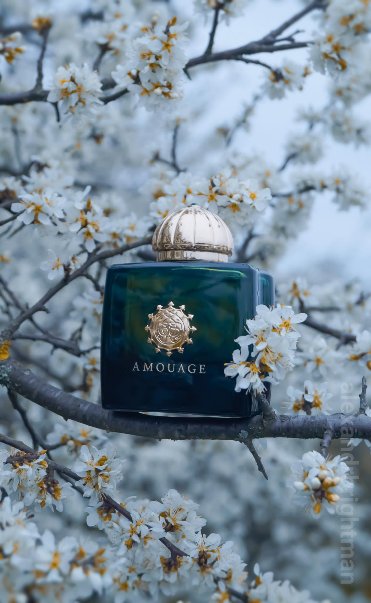 Journey woman. Amouage Epic. Amouage fragrantica. Амуаж ЭПИК парфюмерная вода. Amouage Journey woman.