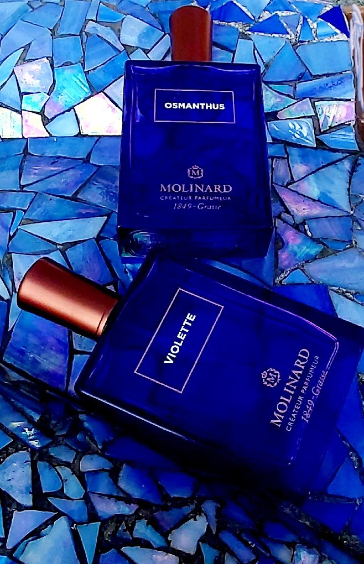 Osmanthus Eau de Parfum Molinard Parfum - ein es Parfum für Frauen und ...