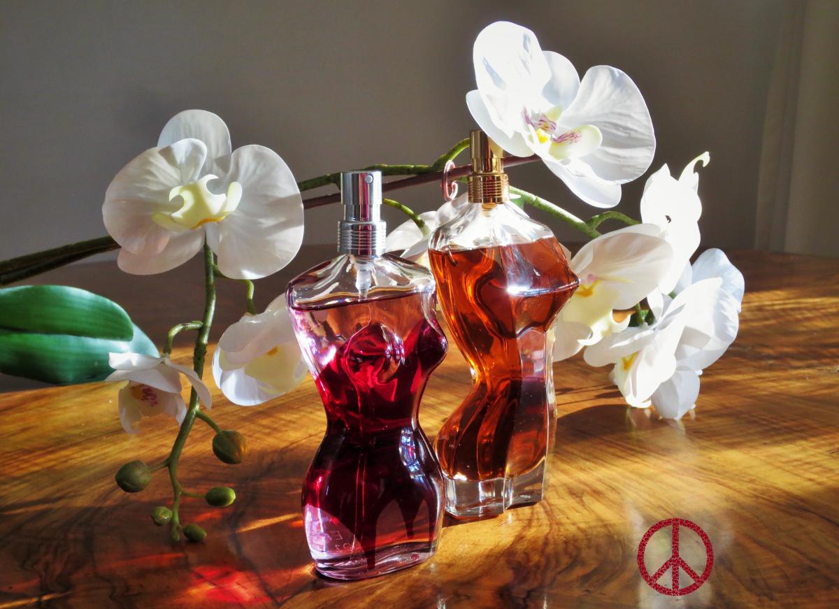 Classique Essence De Parfum Jean Paul Gaultier www.fragrantica.fr