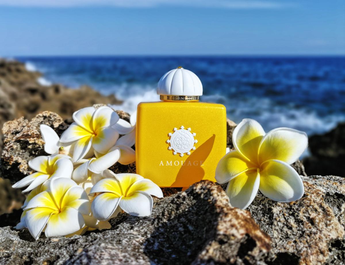 Саншайн амуаж женский. Amouage Sunshine,100ml. Амуаж духи Саншайн. Amouage Sunshine (Amouage). Парфюм Амуаж Саншайн женские.