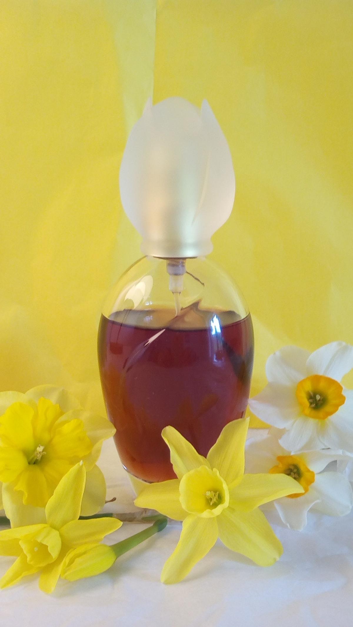 narcisse de chloé eau de parfum