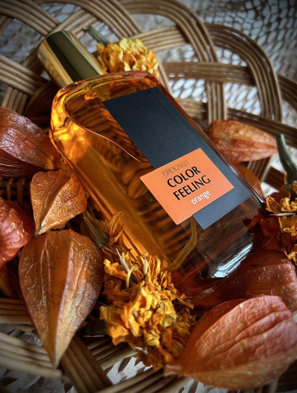 Color Feeling Orange Brocard fragancia - una fragancia para Hombres y ...