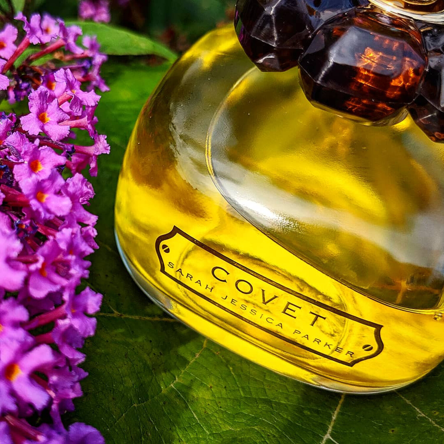 Sarah Jessica Parker Covet Eau De Parfum – 100 Ml Flakon, Blumig & Holzig