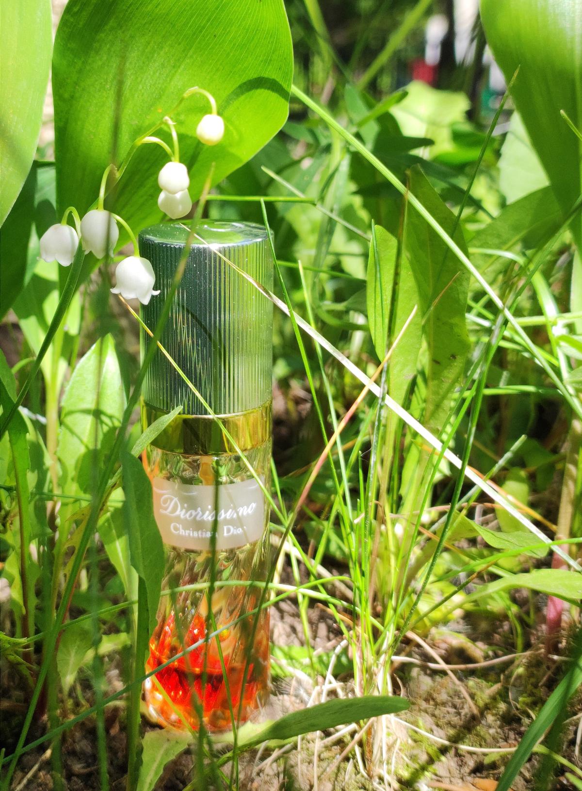 Diorissimo Dior Parfum ein es Parfum für Frauen 1956