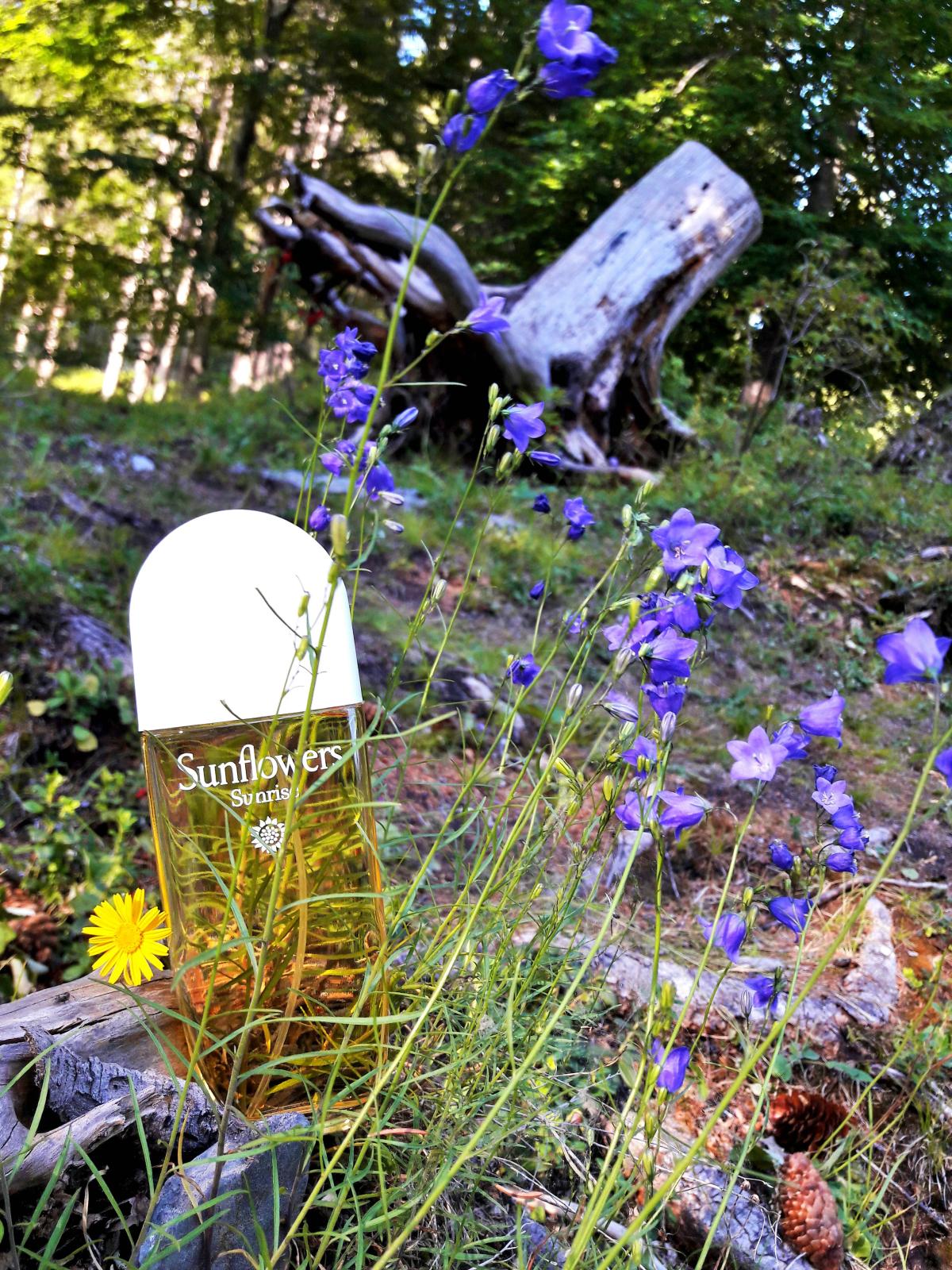 Sunflowers Sunrise Elizabeth Arden parfum un parfum pour femme 2021