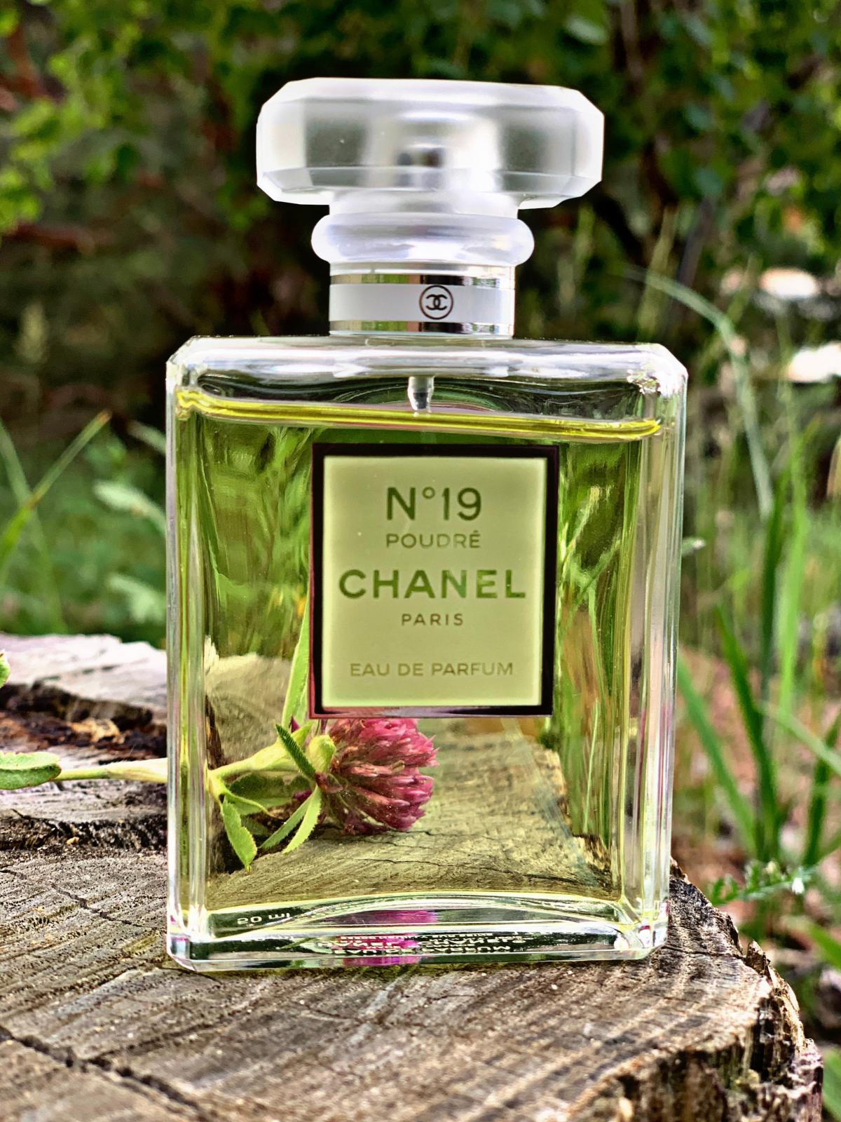 Chanel No 19 Poudre Chanel аромат — аромат для женщин 2011