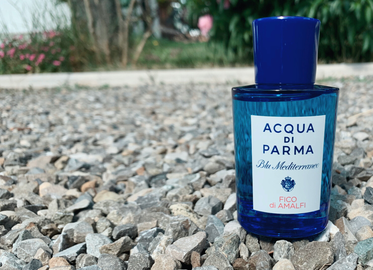 Aqua Di Parma Fico Di Amalfi www.fragrantica.it