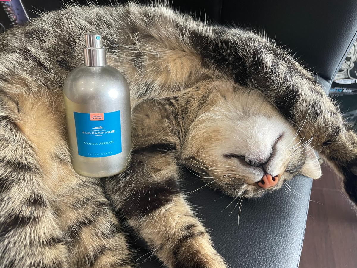 Vanille Abricot Comptoir Sud Pacifique fragancia una fragancia para