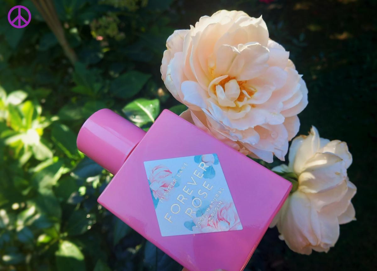 Forever Rose Juniper Lane Perfumes عطر a fragrance للنساء 2019