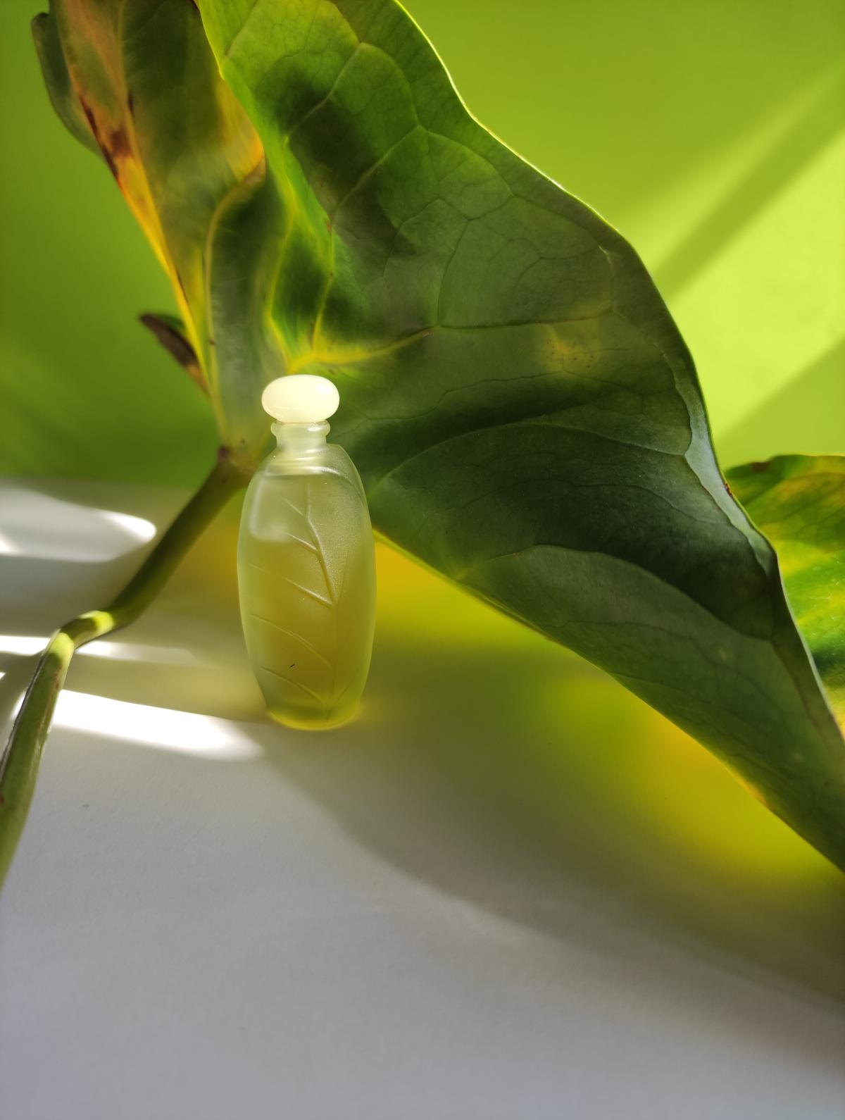 Nature Yves Rocher parfum - un parfum de dama 1993