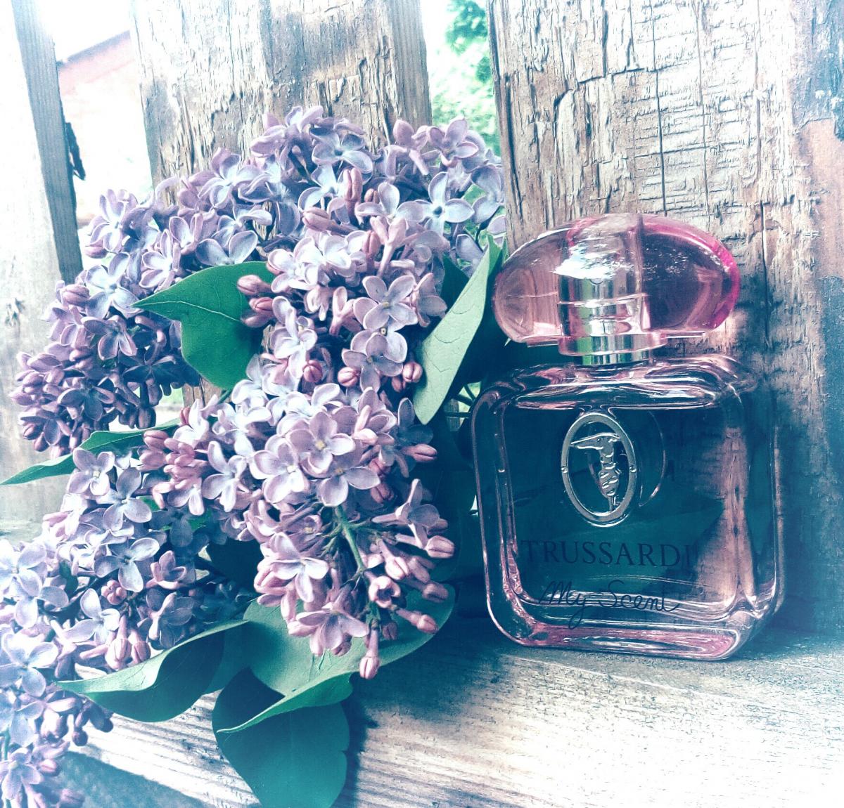 My Scent Trussardi parfem - parfem za žene 2015