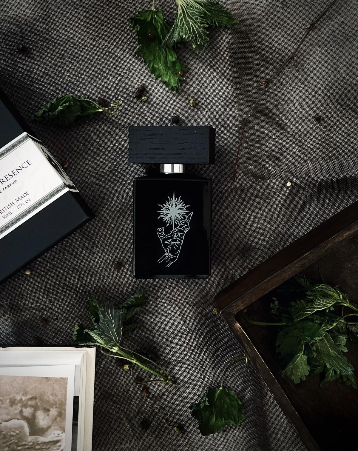 Absent Presence BeauFort London parfum - un nouveau parfum pour homme et  femme 2023