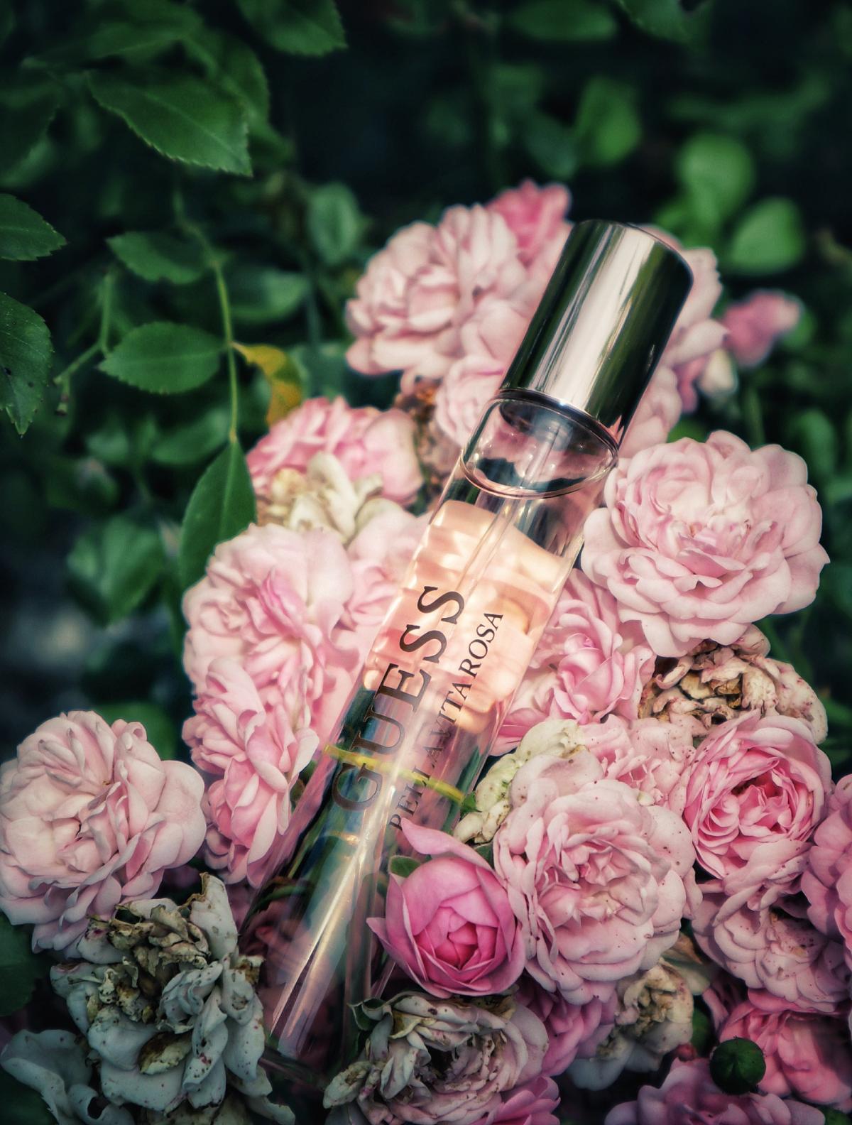 Bella Vita Rosa Guess аромат — новый аромат для женщин 2022