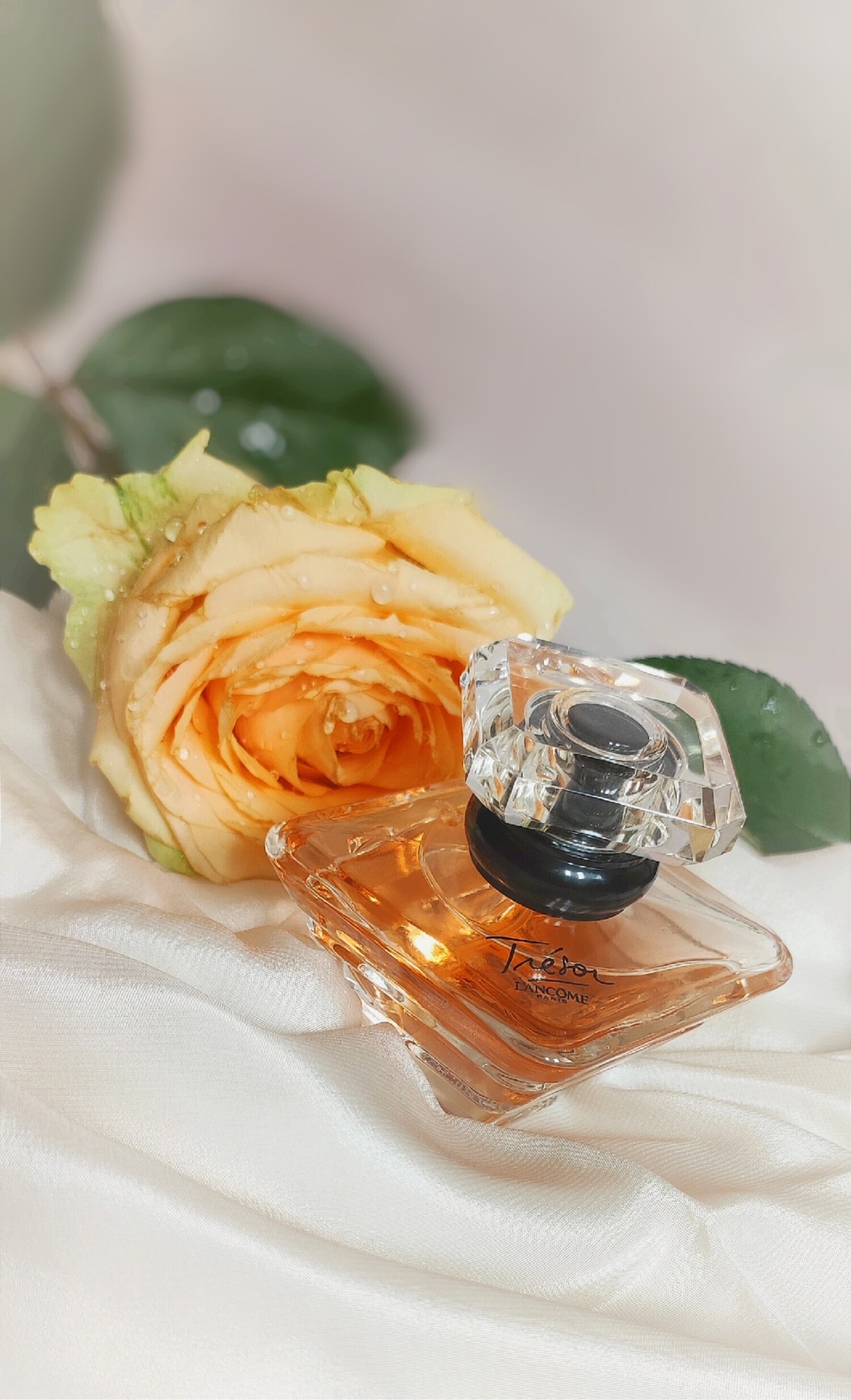 Tresor Eau de Parfum Lumineuse Lancôme parfem - parfem za žene 2013