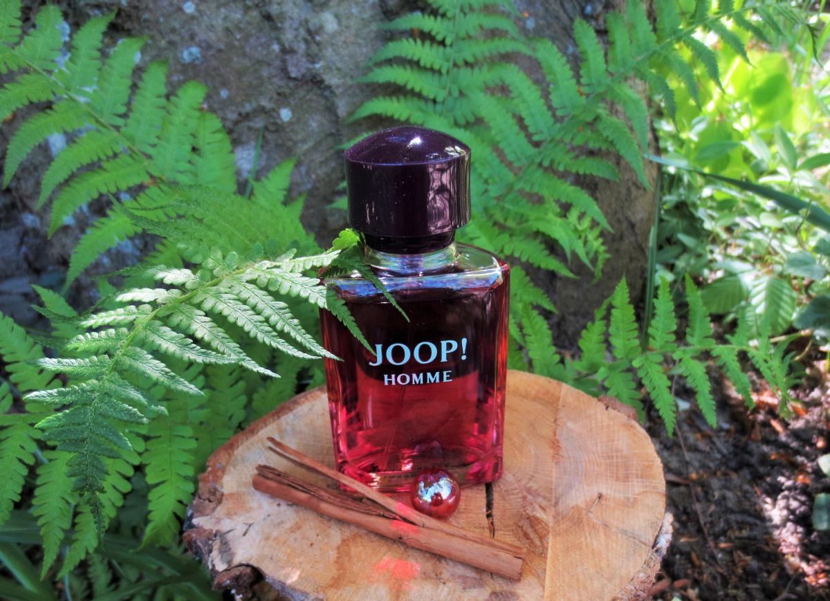 Joop! Homme Joop! одеколон — аромат для мужчин 1989
