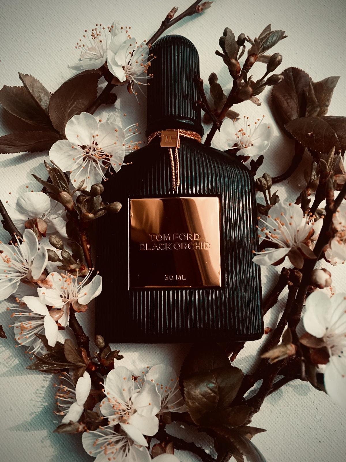 Black Orchid Tom Ford аромат — аромат для женщин 2006