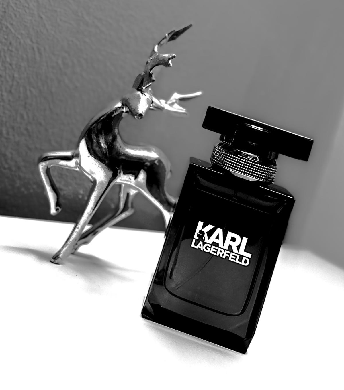 Karl Lagerfeld for Him Karl Lagerfeld Cologne - ein es Parfum für ...