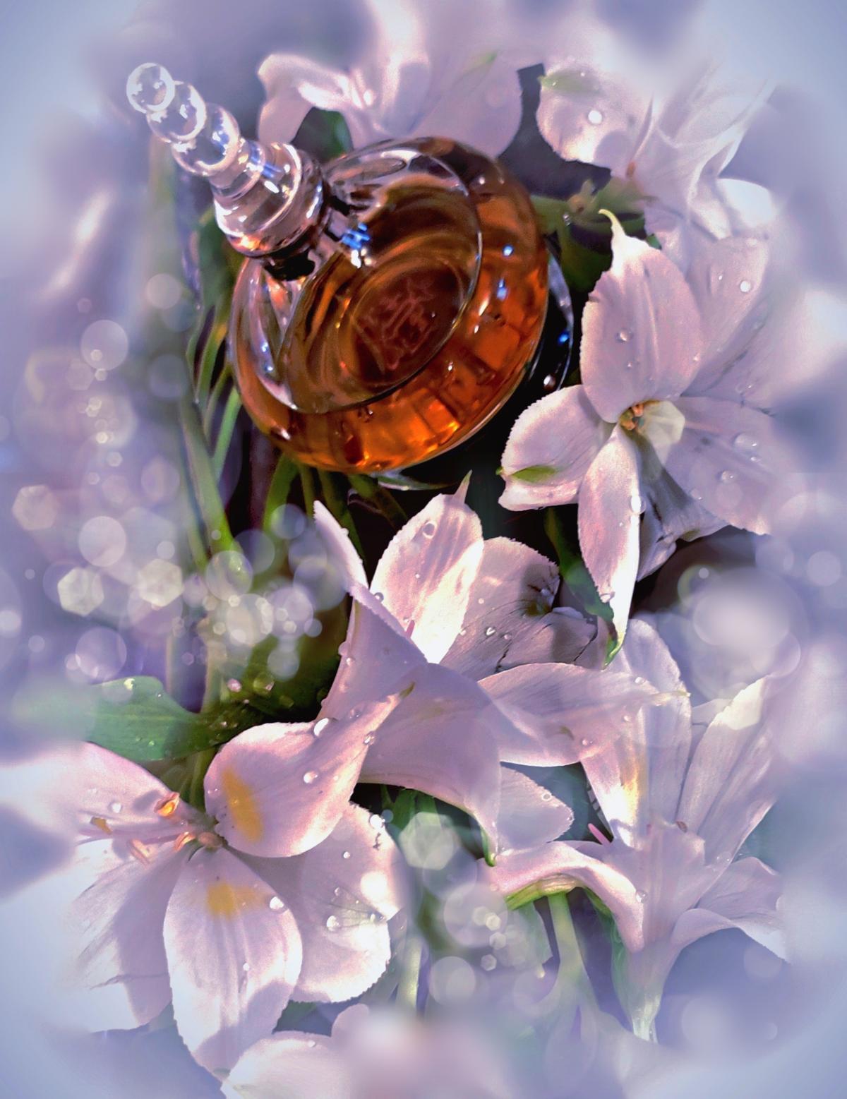 Eau d'Amouage Amouage Parfum ein es Parfum für Frauen 2003