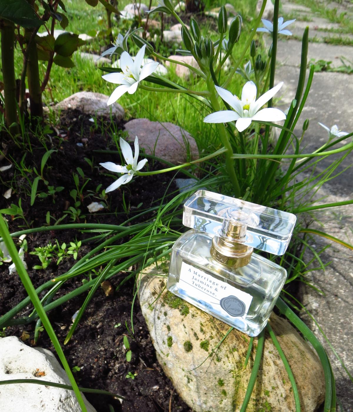 Фото парфюмерная вода marriage of jasmine tuberose эйвон