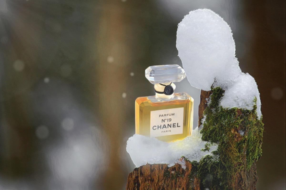 Chanel No 19 Parfum Chanel аромат — аромат для женщин 1970