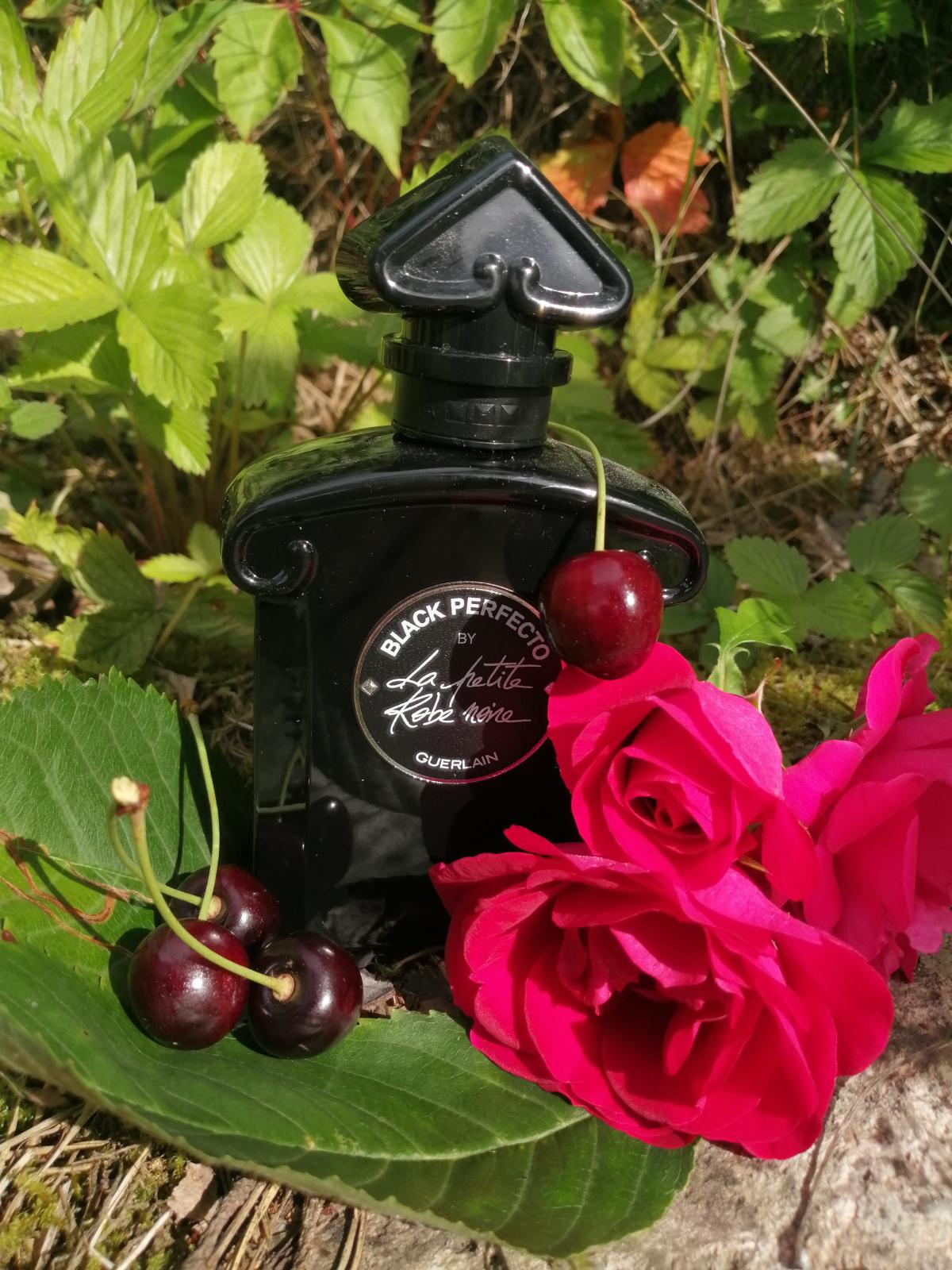 la petite robe noire black perfecto prix