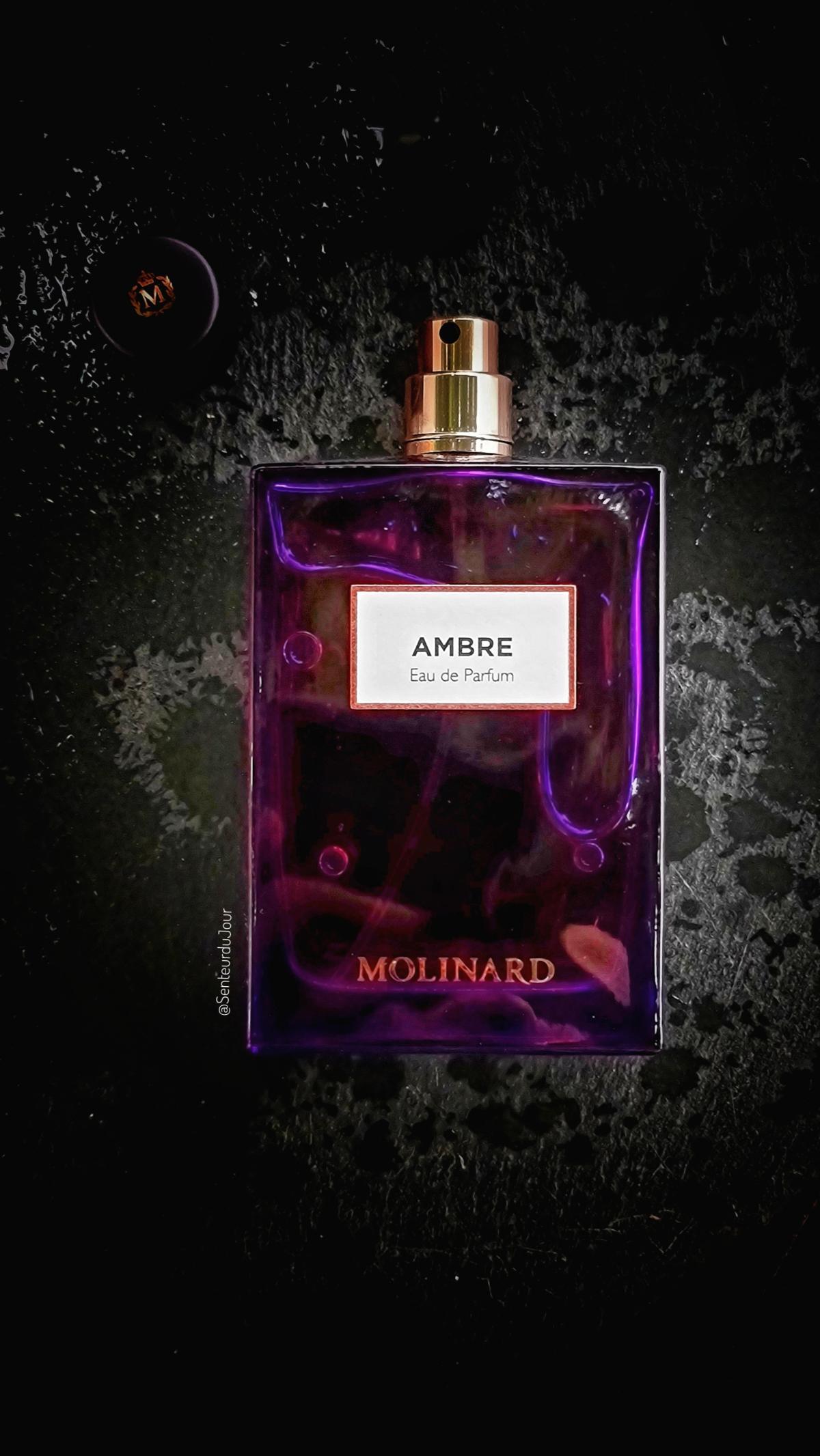 Ambre Eau de Parfum Molinard аромат — аромат для мужчин и женщин 2015