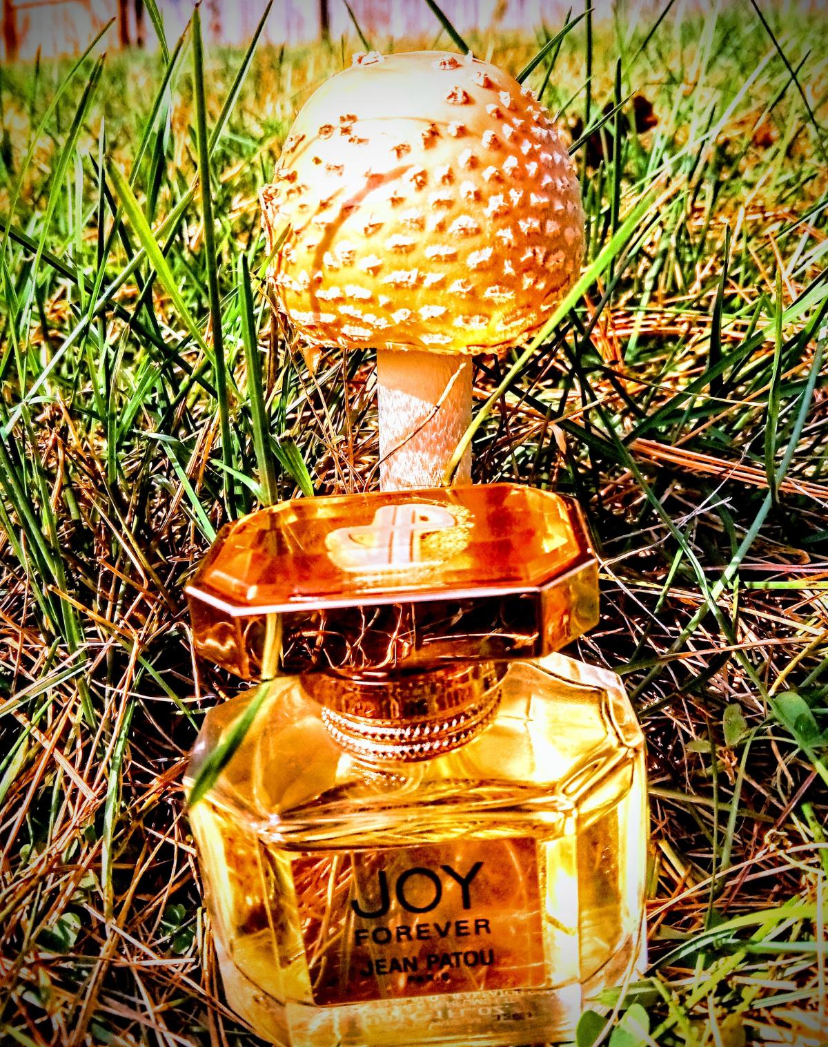 Joy Forever Eau de Toilette Jean Patou parfem parfem za žene 2014