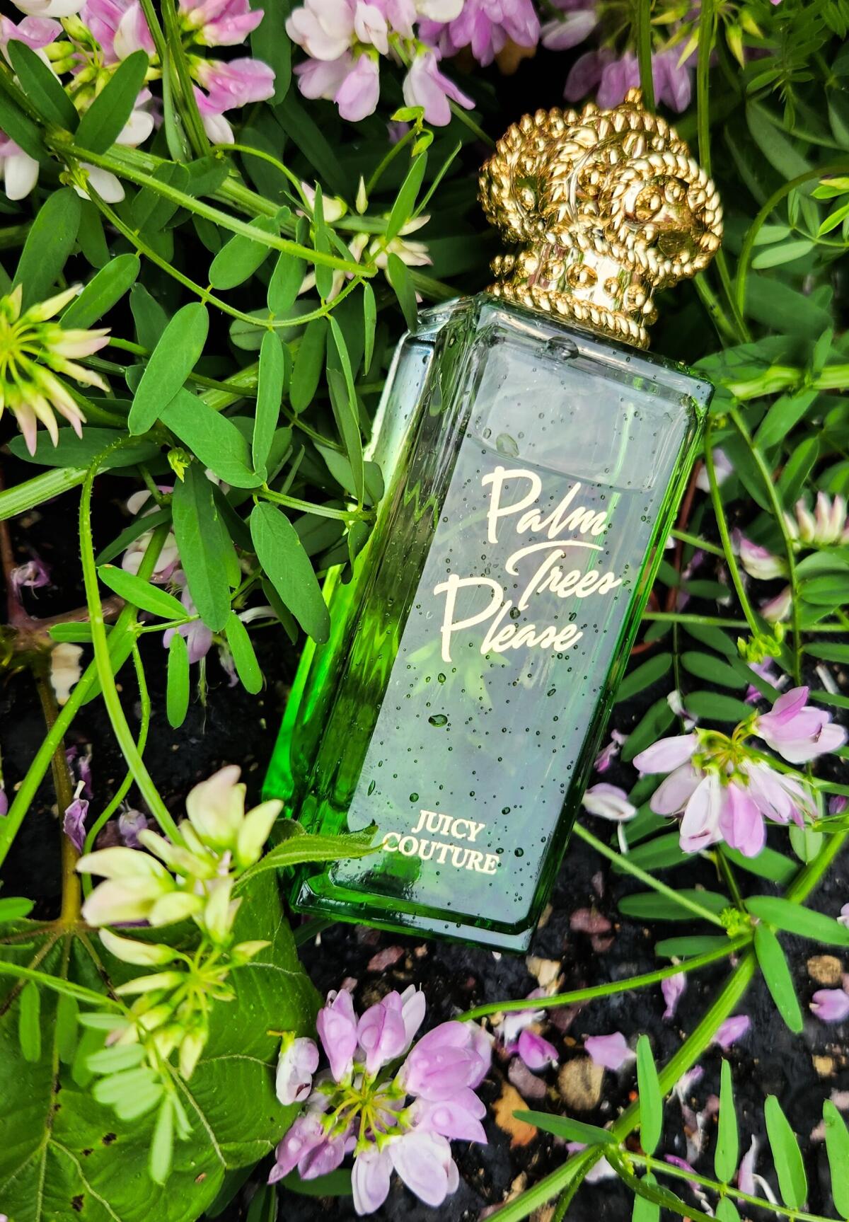 Palm Trees Please Juicy Couture parfum een geur voor dames 2019