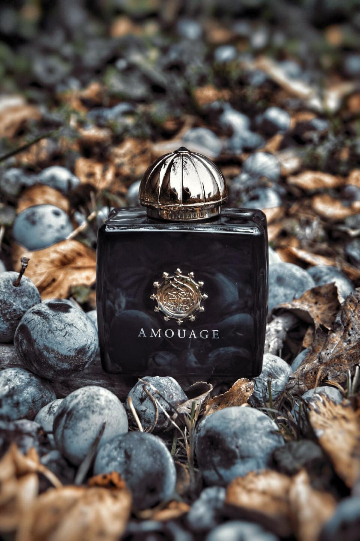 Interlude Woman Amouage parfem - parfem za žene 2012