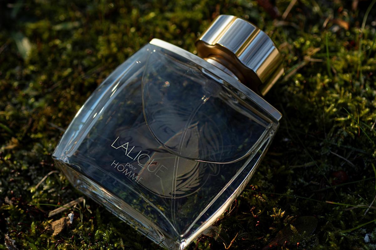 Lalique Pour Homme Equus Lalique Kolonjska voda - parfem za muškarce 2001