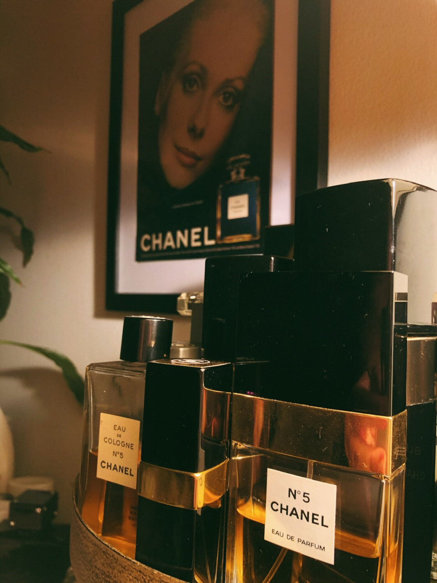 Chanel No 5 Parfum Chanel perfume - a fragrância Feminino 1921