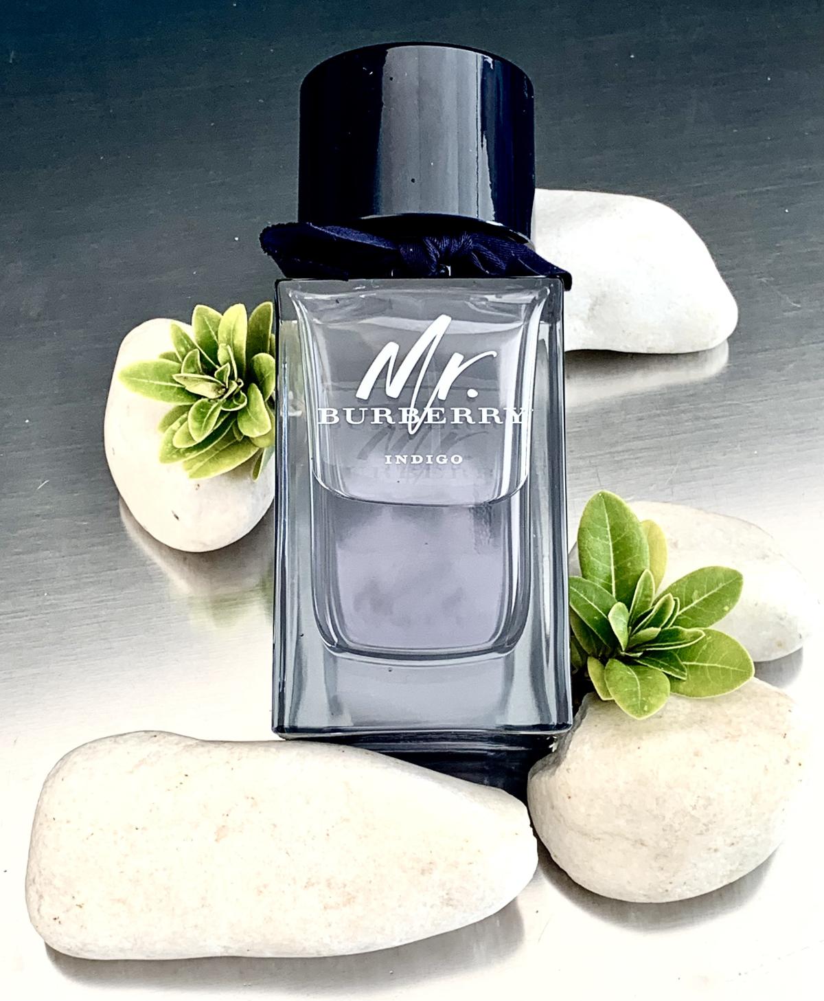 Mr. Burberry Indigo Burberry zapach - to perfumy dla mężczyzn 2018