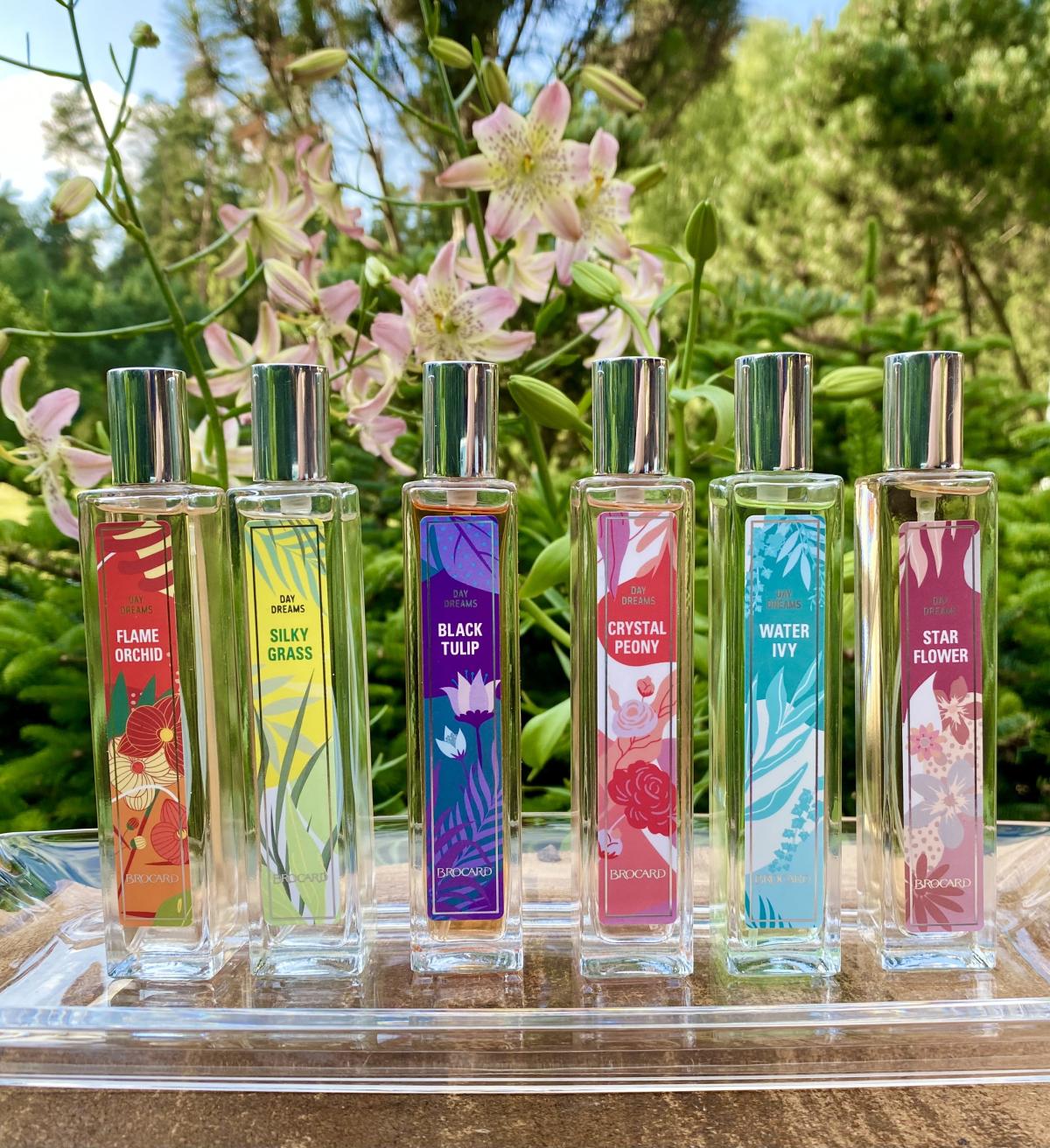 Silky Grass Brocard Parfum - ein es Parfum für Frauen 2021