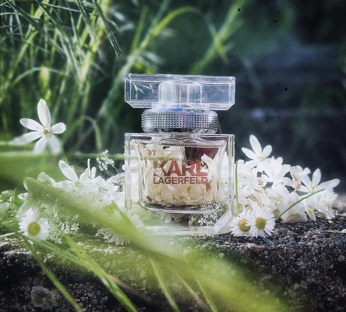 Karl Lagerfeld for Her Karl Lagerfeld Parfum - ein es Parfum für Frauen ...