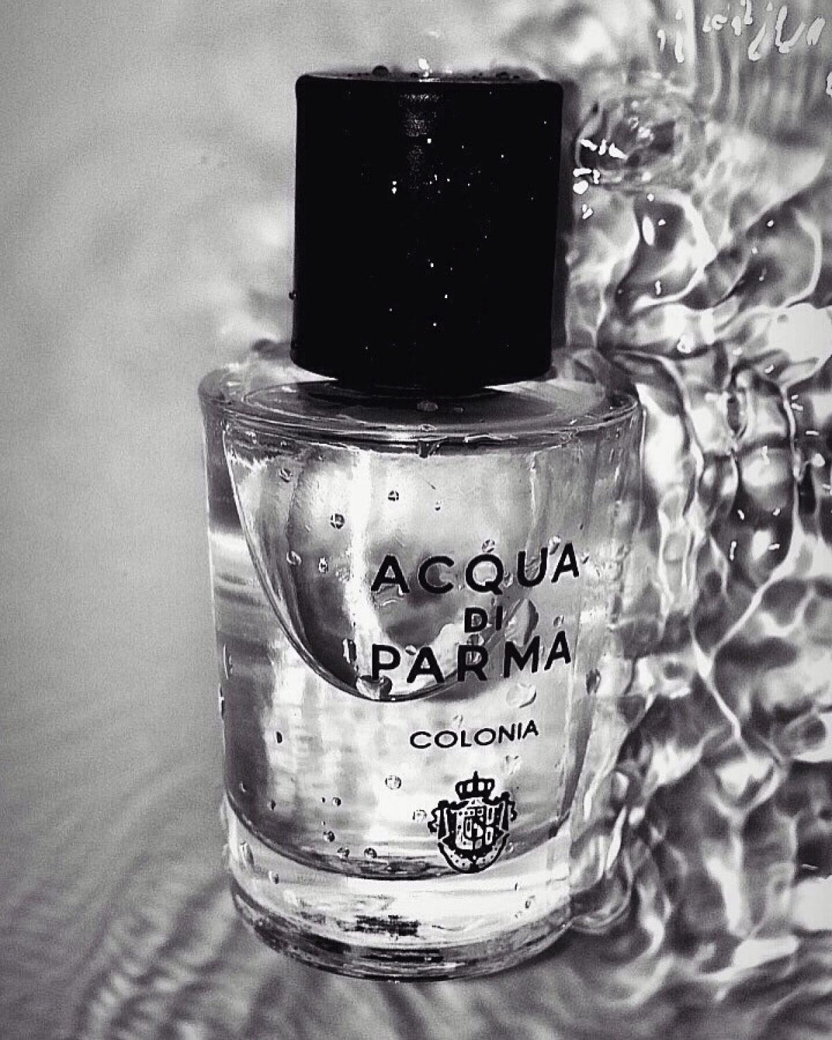 Acqua di Parma Colonia Acqua di Parma Parfum - ein es Parfum für Frauen ...