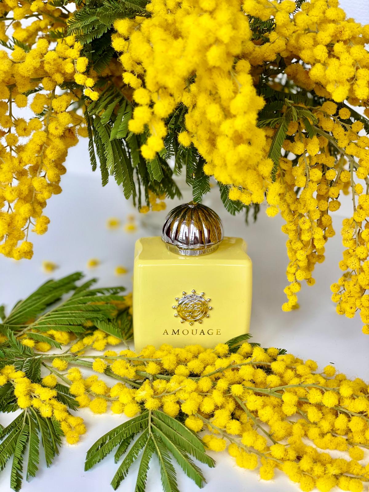 Love Mimosa Amouage аромат — аромат для женщин 2019