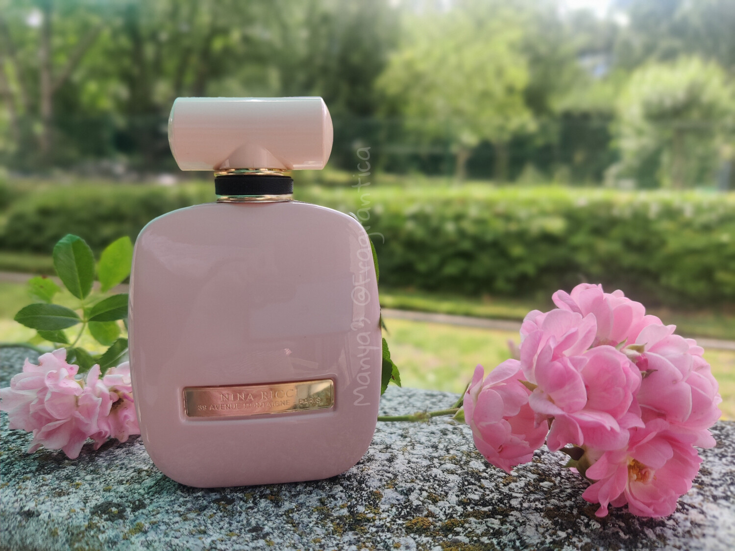 Rose Extase Nina Ricci Perfume A Fragr ncia Feminino 2017