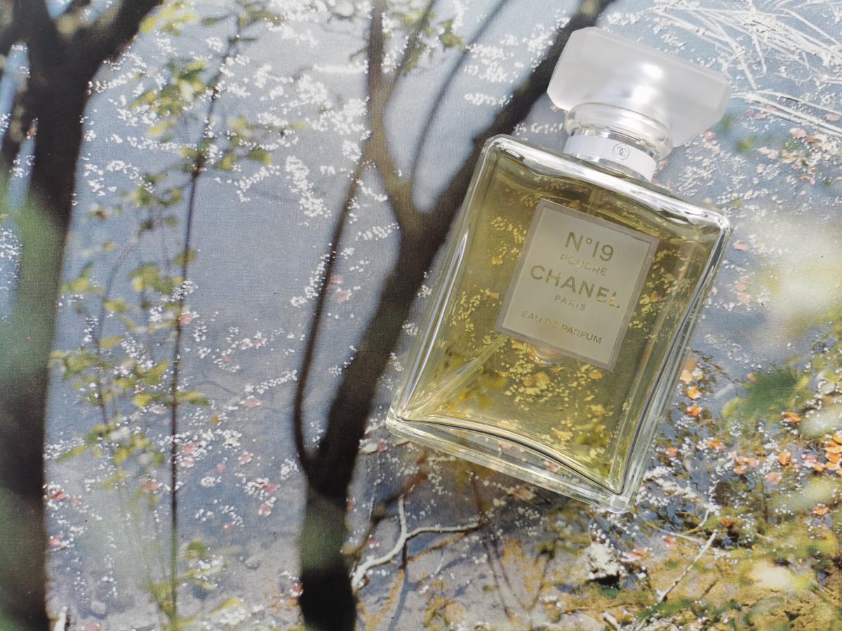 Chanel No 19 Poudre Chanel аромат — аромат для женщин 2011