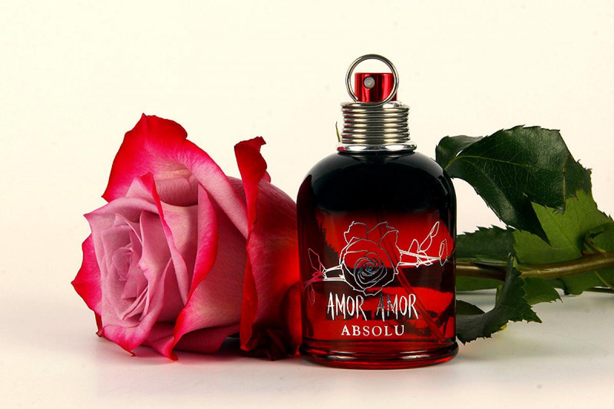 Amor Amor Absolu Cacharel parfem parfem za žene 2010