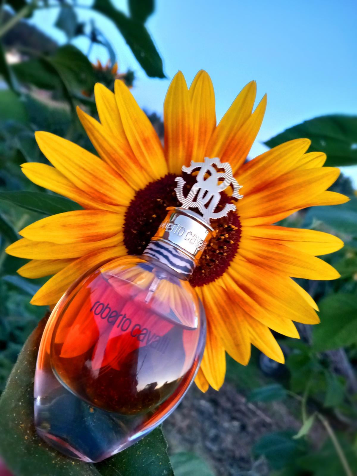 Roberto Cavalli Eau de Parfum Roberto Cavalli аромат — аромат для ...