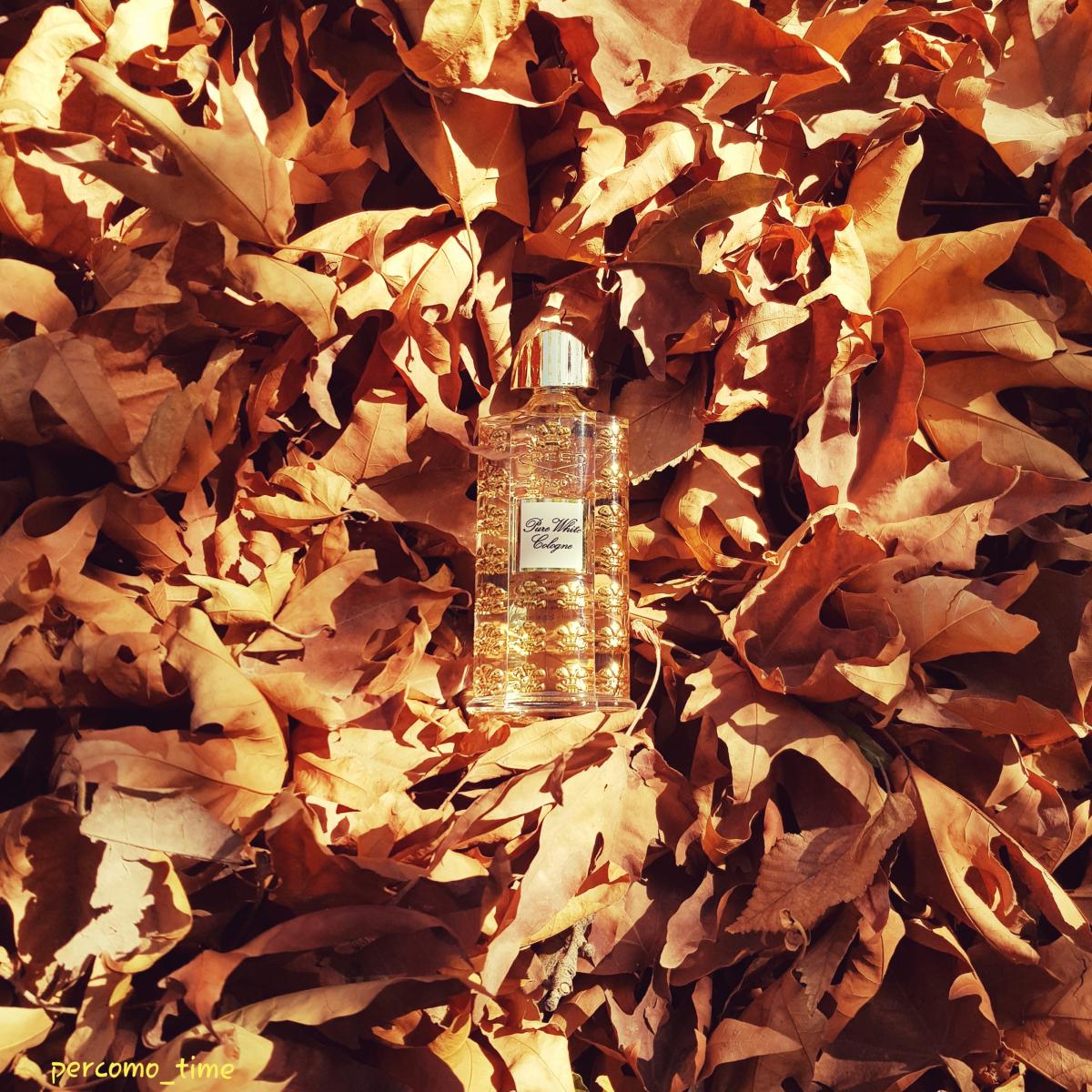 Original Cologne (Pure White Cologne) Creed аромат — аромат для мужчин ...